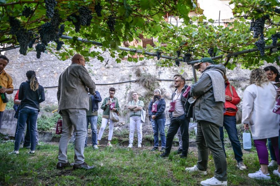 La vigna eccellente a Isera: dal 7 al 10 settembre la manifestazione dedicata a Marzemino e territorio