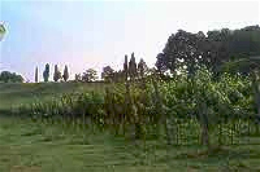 Curtefranca