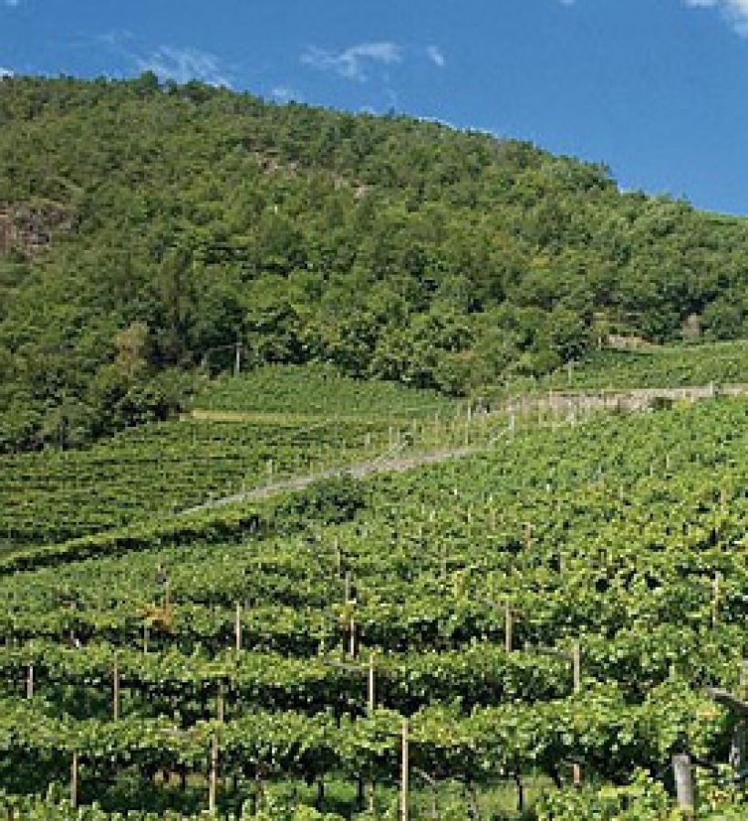 Mitterberg