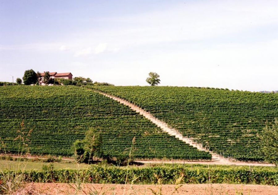 Barbera del Monferrato