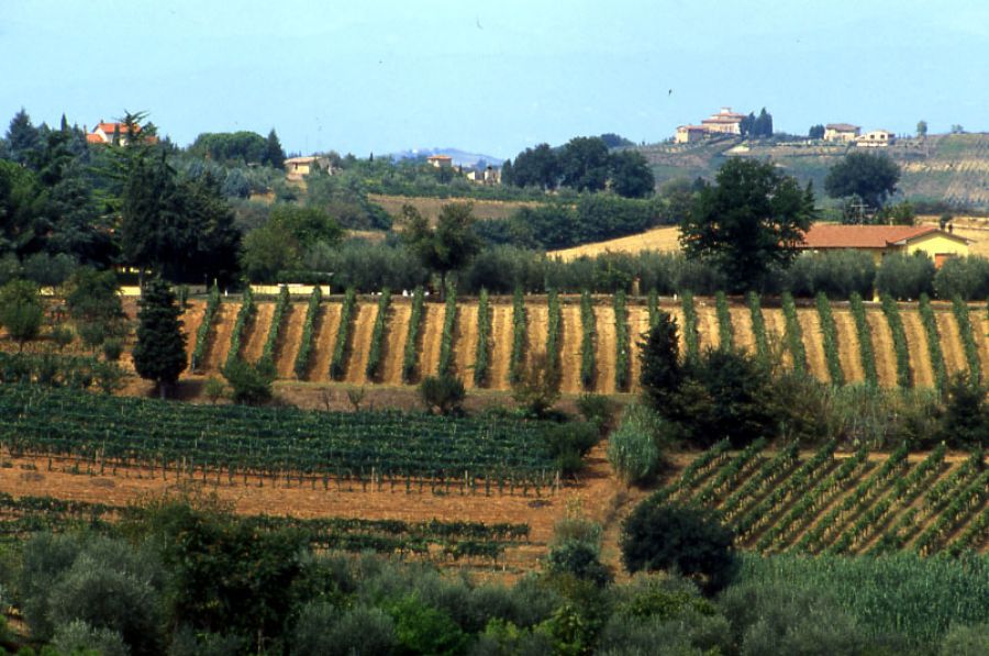 Colli della  Toscana Centrale