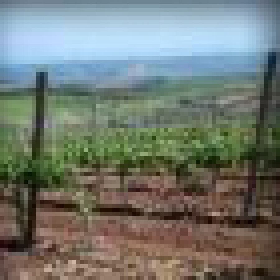 Molise o del Molise
