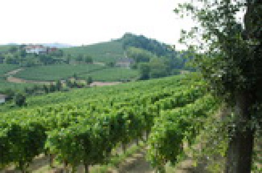 Piemonte