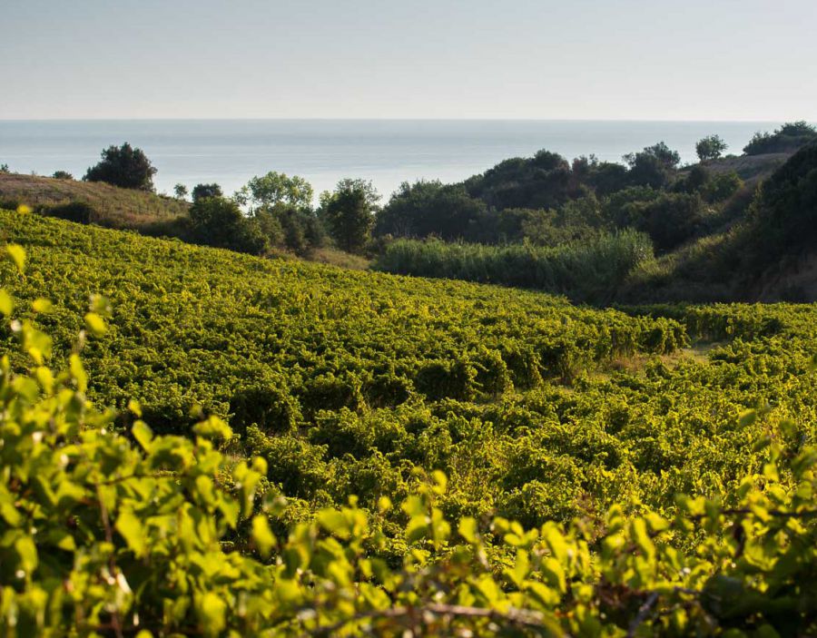 Calabria