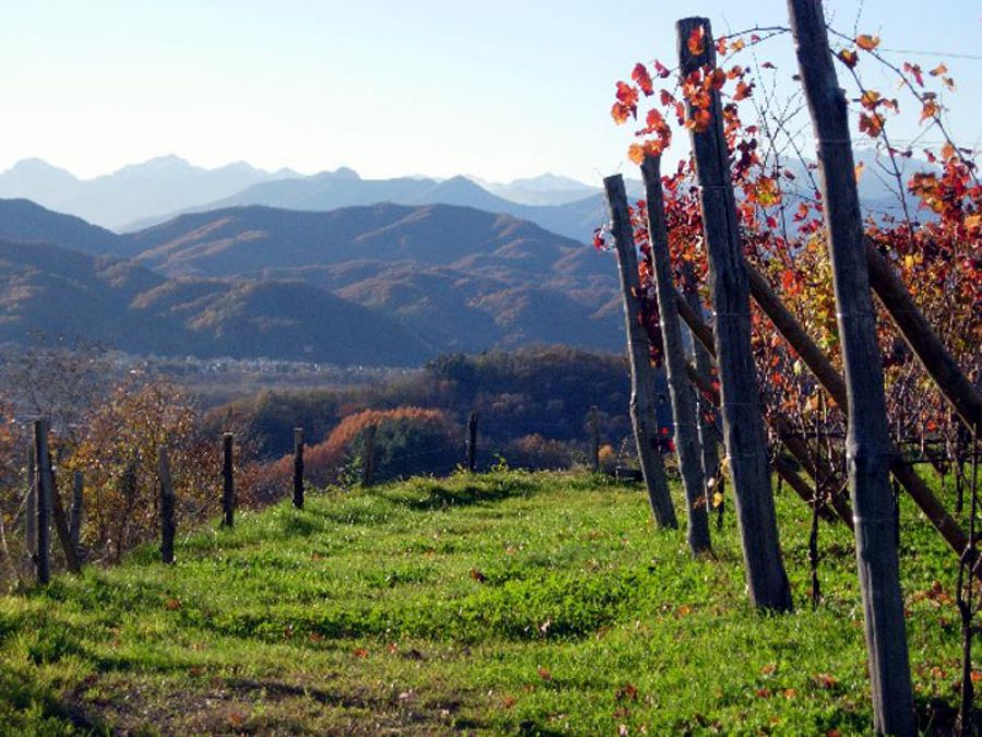Colline Novaresi