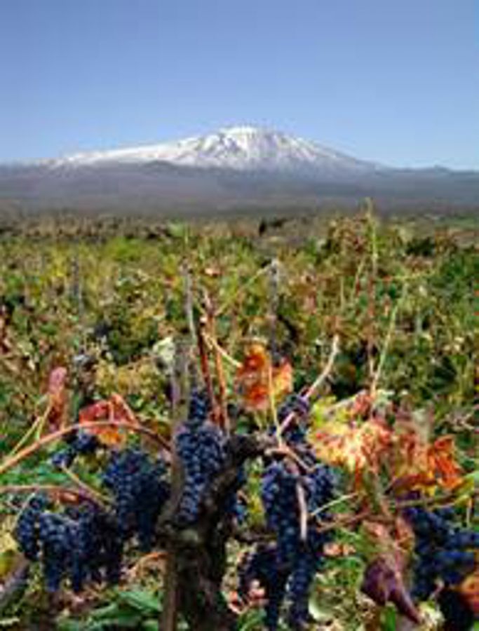 Etna