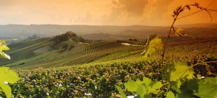 Langhe