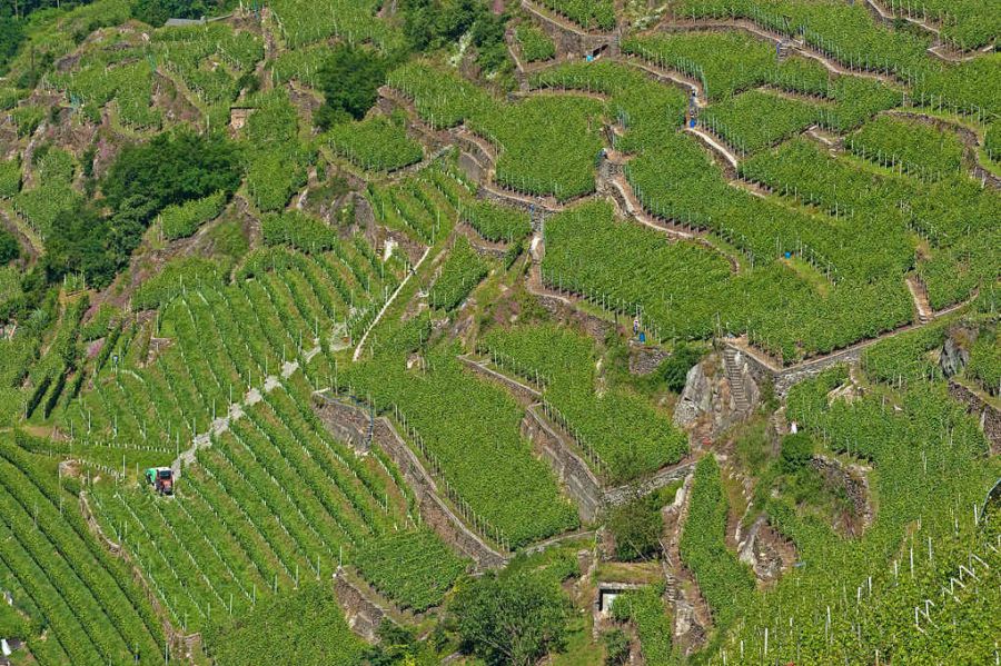Valtellina Superiore