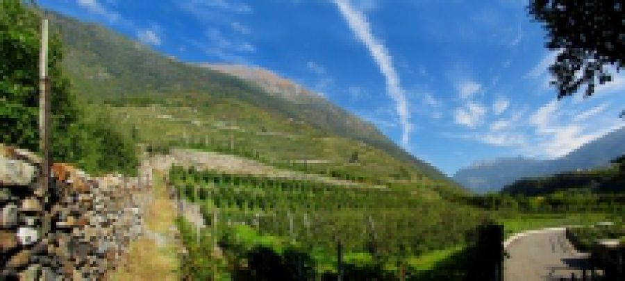 Alpi Retiche