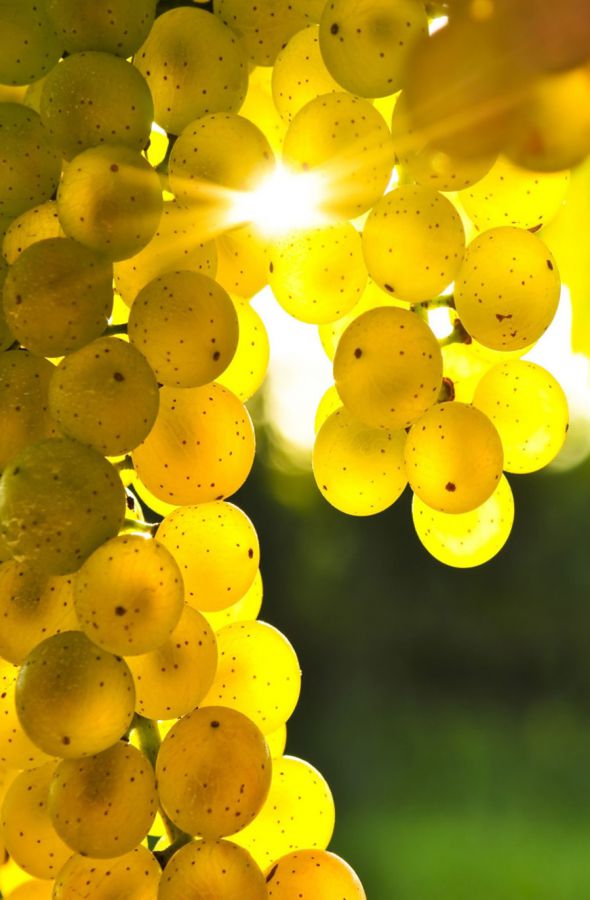 Franciacorta