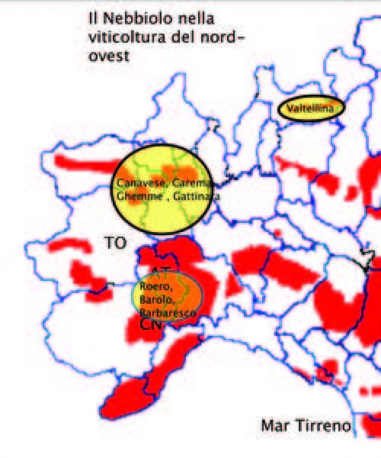 Profilo sensoriale comparato di vini Nebbiolo provenienti da differenti zone viticole