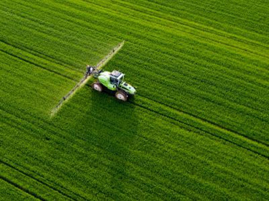 L’agricoltura, asset strategico per tornare a crescere