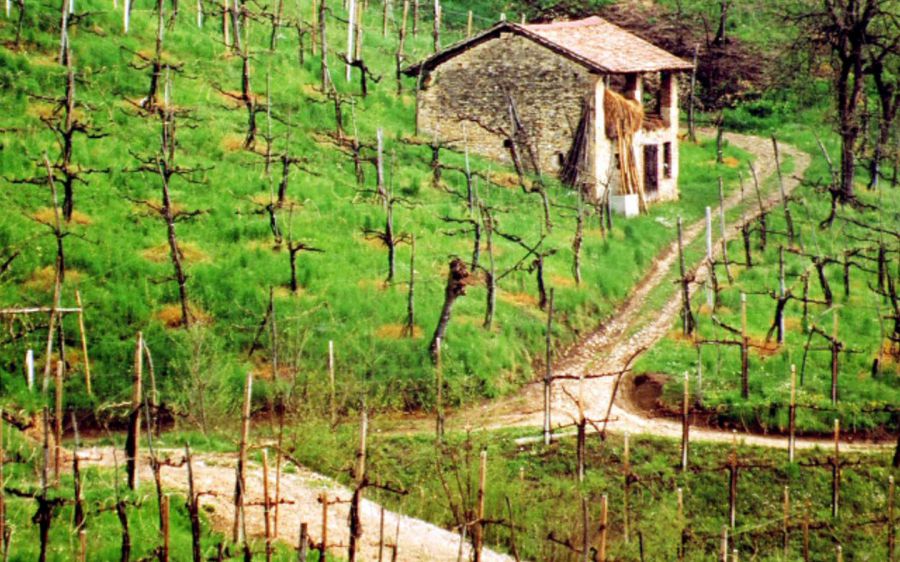 Il paesaggio vitivinicolo: UNESCO e dintorni