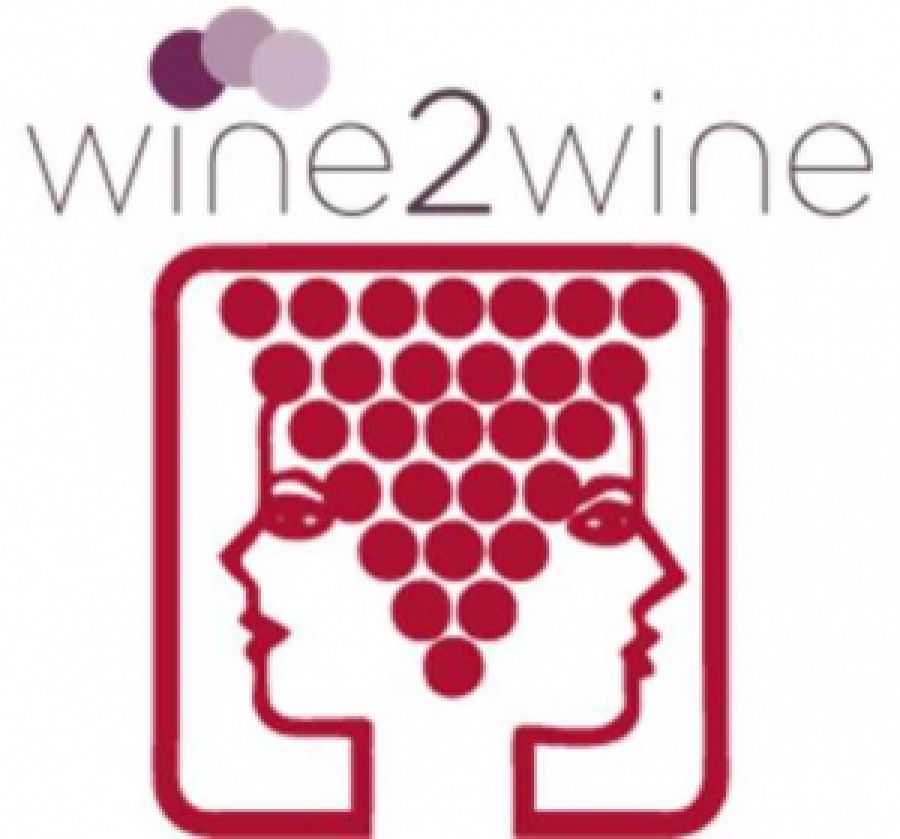 I molteplici valori del vino: economici, sociali, ambientali