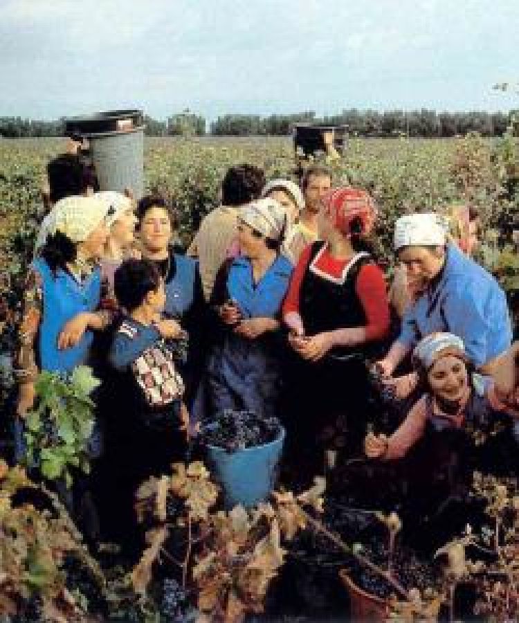 L'integrazione degli immigrati nelle zone ad alta intensità di produzione agroalimentare e vinicola