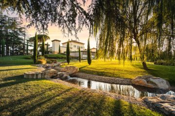 Olivum Experience: dalla tradizione all’essenza