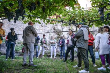 La vigna eccellente a Isera: dal 7 al 10 settembre la manifestazione dedicata a Marzemino e territorio