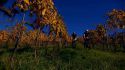 Prosecchissima, in mountain bike tra le colline della Capitale Europea del Vino 2016