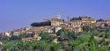 Montescudaio, tra storia e futuro nel nome del vino
