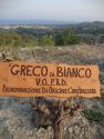 Alla scoperta del vino più antico d’Italia