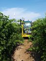 Agricoltura di precisione per uno sviluppo sostenibile
