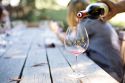 Frascati saluta con gusto l’arrivo dell’autunno: torna la Fiera dei Sapori