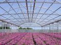 Innovazione e affidabilità in agricoltura