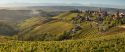 Storie di Vini e Vigne Napoli