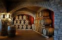 Il vino si fa in vigna