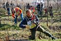 2° Festival del Potatore della vite