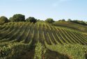 Alla scoperta della Maremma e delle sue meraviglie