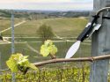 I migliori sistemi di monitoraggio per l'agricoltura di precisione