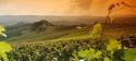 Piemonte Capitale Mondiale del Food?