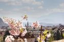 Fiori, arte e bicicletta: Bolzano riparte da qui