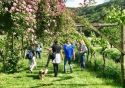 Secondo weekend Gemme di gusto