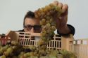 Il dolce vino di montagna
