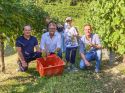 Le Manzane: successo per la 10^ edizione della Vendemmia Solidale pro Lilt
