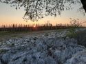 Vini naturali sul Carso dalla pietra plasmata dal tempo
