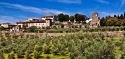 Torna a Carmignano “Calici di stelle”