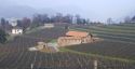 Proteggete il raccolto e salvaguardate il vigneto