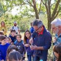 Immersioni esclusive negli uliveti della puglia