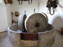 Un progetto integrato tra olio evo, cultura e turismo rurale