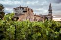 Un pezzo di storia della vitivinicoltura italiana