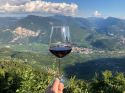 Vallagarina in festa per La Vigna Eccellente...ed è subito Isera