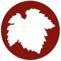 Vademecum vendemmiale ICQRF per la campagna vitivinicola 2022-2023