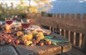Autunno, tutti in vigna!