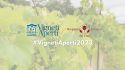 Vigneti Aperti 2023