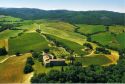 Cantina Abbadia Ardenga, in Val d’Orcia l’azienda agricola che tramanda la cultura del re della tavola, il Brunello
